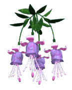 17566440