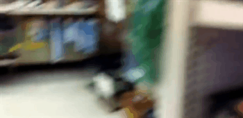 1457608113-6201775ab8235cea37287a403a66f0b8