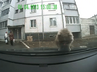 _yapfiles.ru