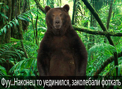 Медведь-ссыт