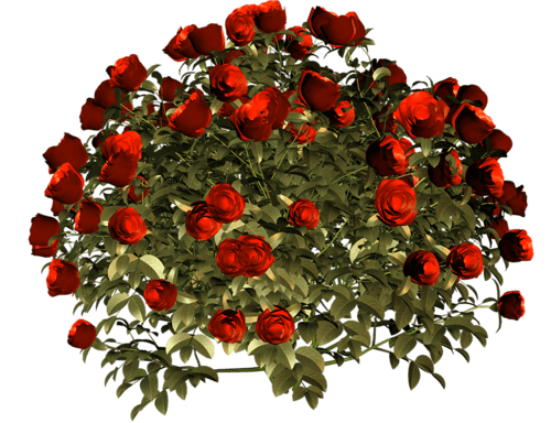 0_70b2c_c7ee2207_L_zpsd4e25770 (1) (1)