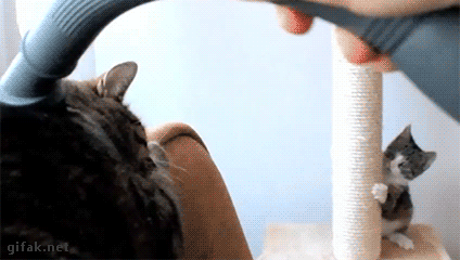 tumblr_o4dpth1JJL1ukldkho1_500