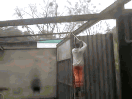 gifkichtotoposhlonetak1007858_yapfiles_ru