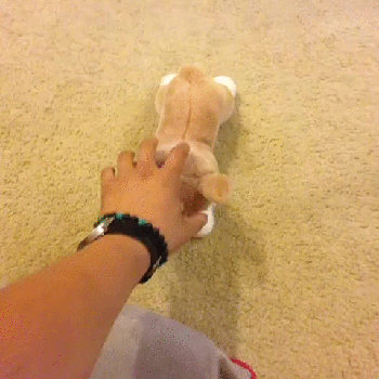 gifcorgi