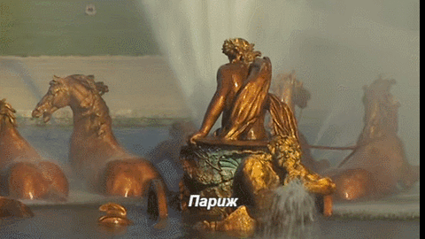 giphy.gif888