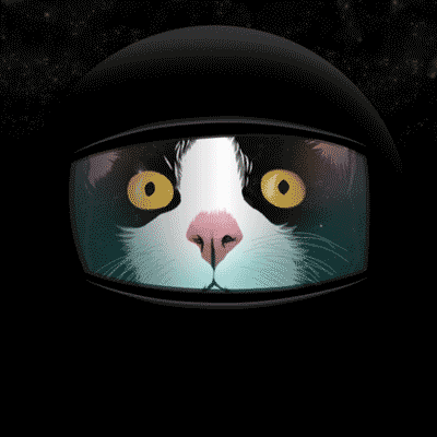 kote-kosmos
