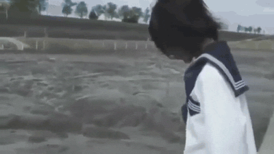 r2_www.catsmob.com_funny_gifs_catsmob_com_03331_012_a25a8149