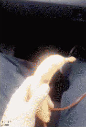 tumblr_o4clqm58GE1tlb56zo1_400