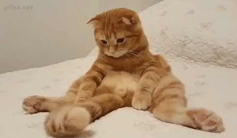 gifs_23 (19)