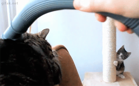 1458506710171850566_yapfiles.ru