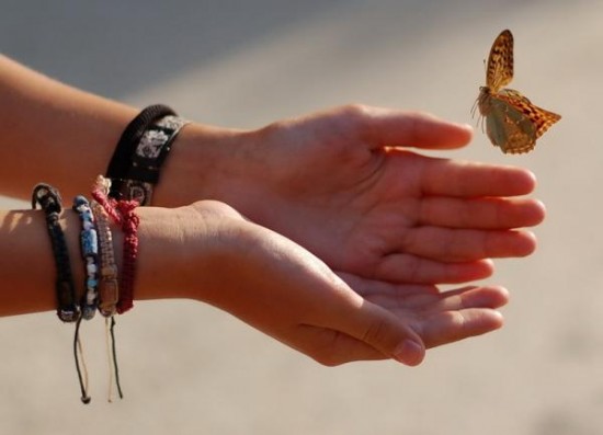 бабочка из рук