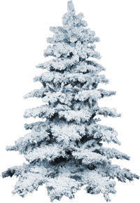 0_f67a1_11770997_orig[1]