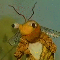 tumblr_nkhdg7Orck1rnakh7o1_250.gif