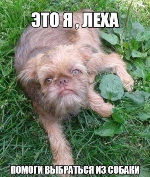 495355910