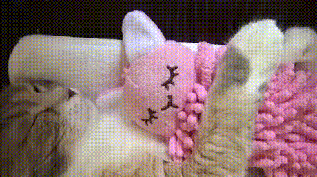 Котэ