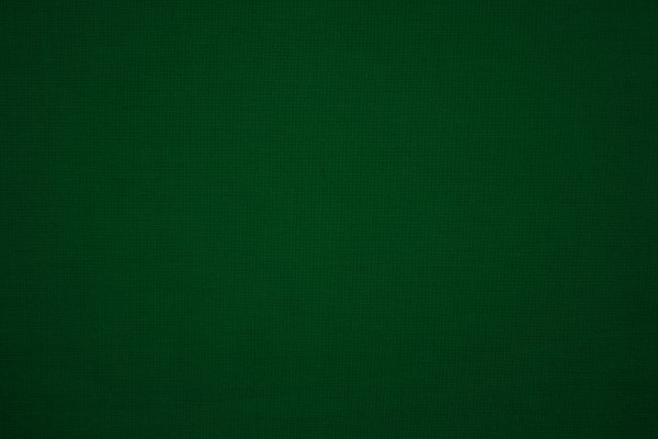 kelly-green-canvas-fabric-texture-600x400