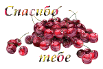 (5)