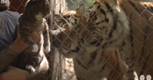 1461438423-6bb6381ecb095b197d0e50f07a519a95