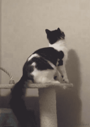 1461570656-3eb446f1952ebe17a580b3f02e7c7638