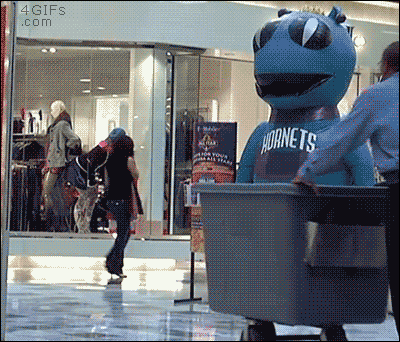 __hornets