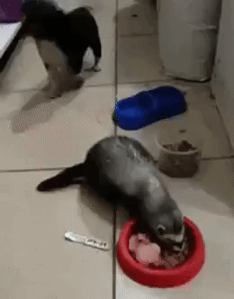 80efaf9d4a692133bf277e4e52d0ee64