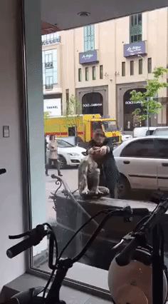 1461750452-cd407b0dfa0abafcaabd863bda08e5c3