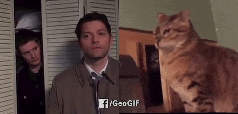 2giphy