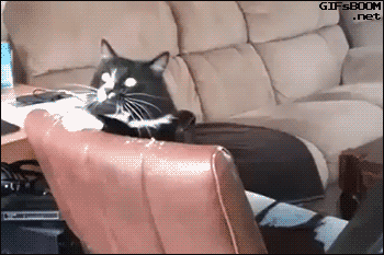 tumblr_nvhxtxO22B1tv1bhvo1_400