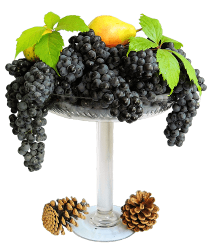 ваза
