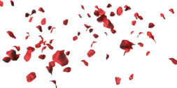 rose-petals-falling-psd-444897