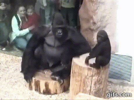 XD0rz5