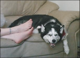 65651