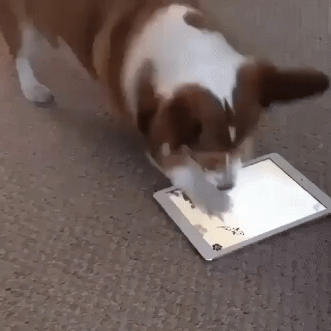 1463461590-b019b040d2f0e943cd9c10d1afd03141