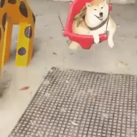 -гифки-качели-живность-3112033