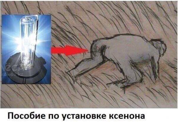12776208_m