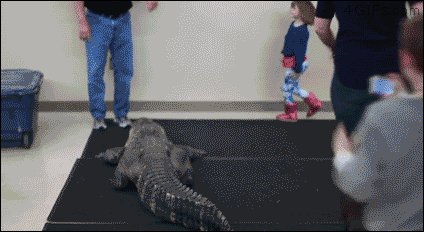 Ипануться легче