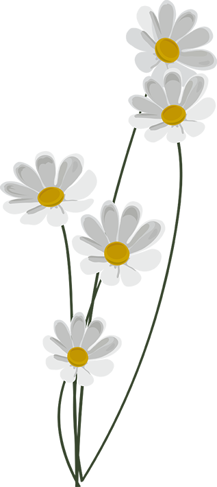 1433167758_camomile-1-09