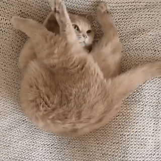 1464609147-dc4754c0e8de7577a6ce482249477cd9