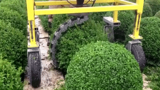 146512404115172819