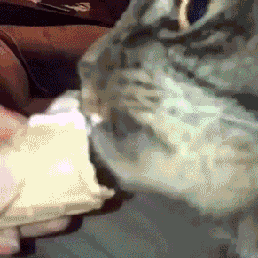 gifs_19 (29)