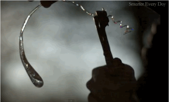 принца руперта5