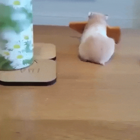 adf1e4044da54e5cb096791897b