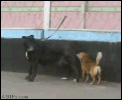 3df1843ae810e114d6a4f488dea