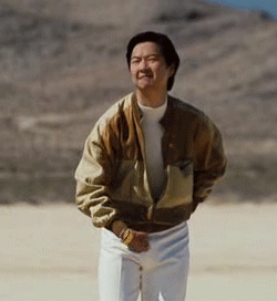 mr-chow