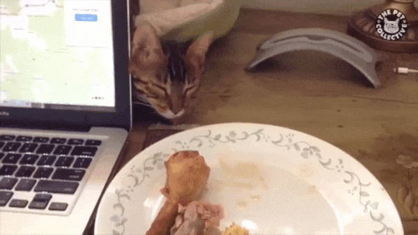 1467279223-e4eac63f20c6fb4a1420fec865afafd9