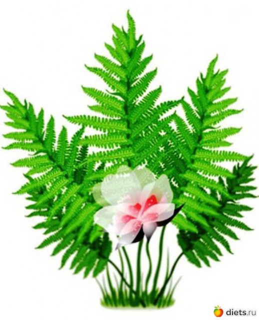 287105_48058-700x500