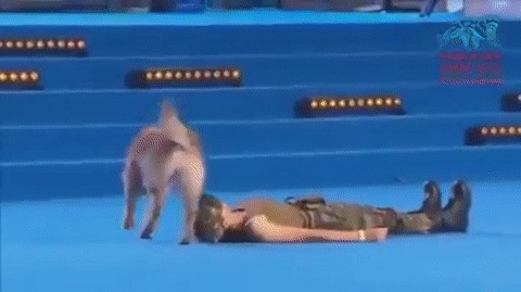 1468165775143381199