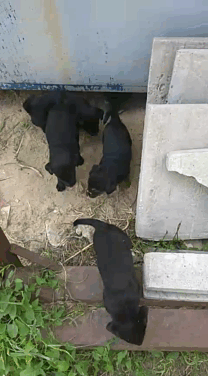 VID_20160711_152156