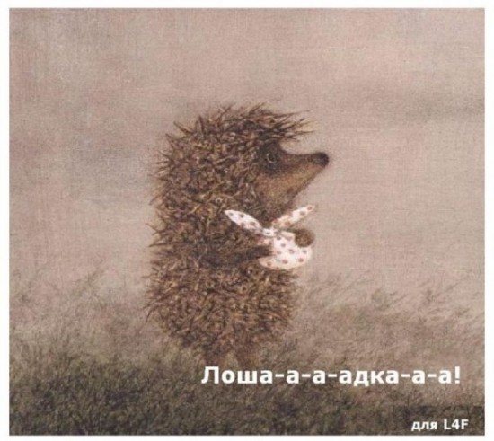 ежик добра1