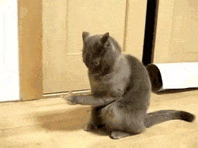 1435697671-431c8f5619c8fe087b8f6ce105c6bbb6